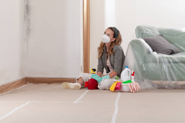 Reliable Black Mold Removal contractor in Magnolia, NJ by WQB Mold Removal